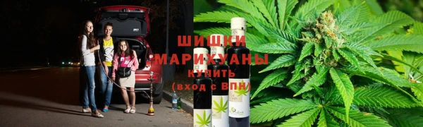 ГАЛЛЮЦИНОГЕННЫЕ ГРИБЫ Зерноград