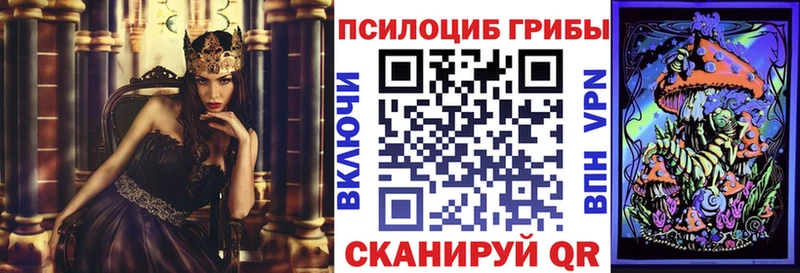 Купить закладки  Заволжск  Галлюциногенные грибы Psilocybe 